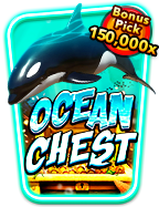 พนันบอล หมดตัว: รีวิวปัญหาที่ควรรู้ก่อนเล่นจริง